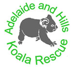 Adelaide and Hills Koala Rescue