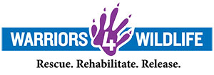 Warriors 4 Wildlife logo Warriors 4 Wildlife logo