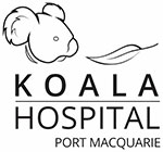 Koala-Hospital Koala Hospital