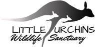 Little-Urchins-Wildlife-Sanctuary